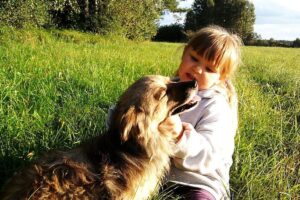 Pies budzi dziecko rano: wideo Golden Retrievera podbija sieć w 2026 roku