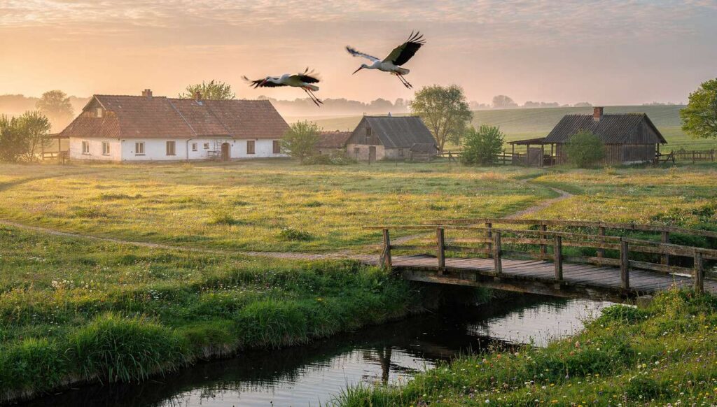 Bociany 2026: mapa OTOP pokazuje, gdzie w Polsce pojawiły się pierwsze pary